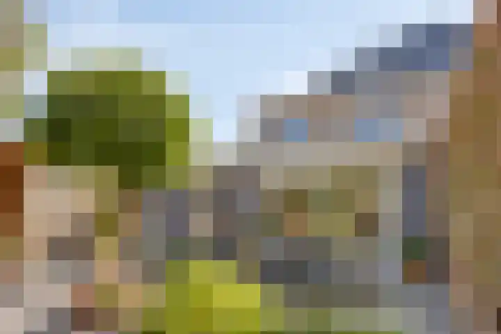 Jamboreelaan 32 Biddinghuizen thumbnail 35
