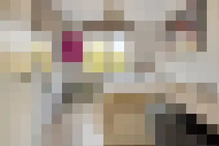 Jamboreelaan 32 Biddinghuizen thumbnail 45