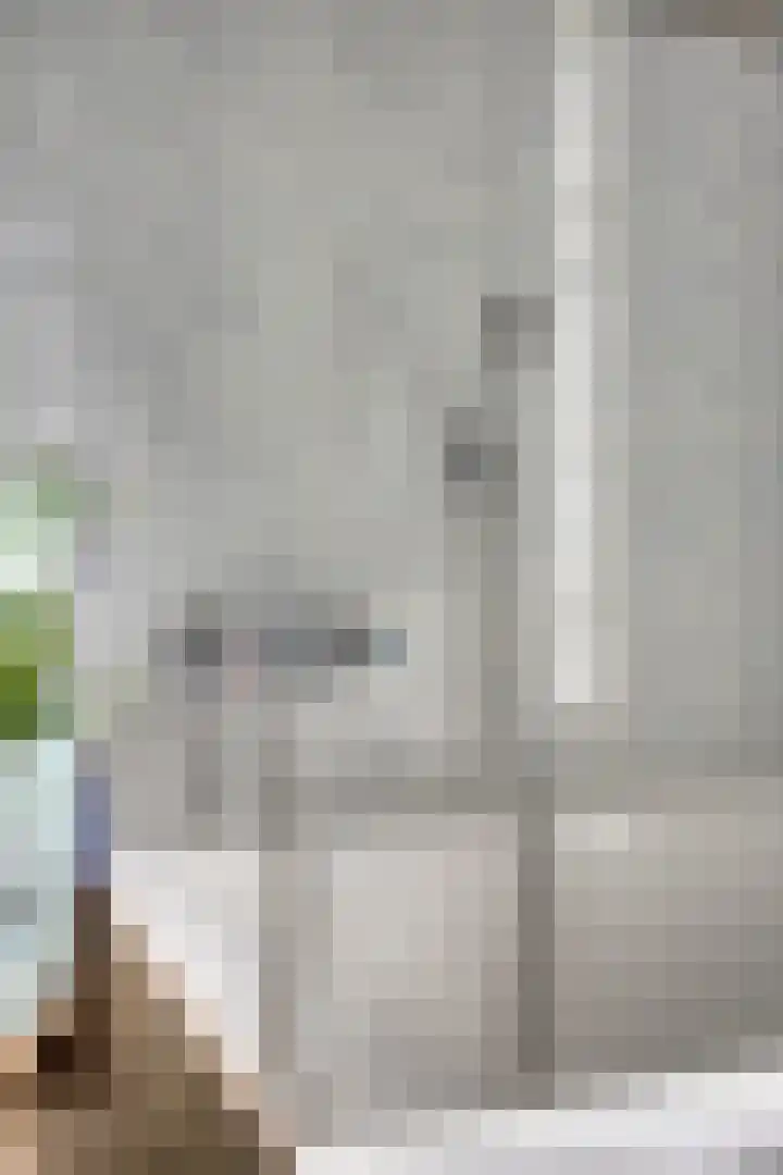 Jamboreelaan 32 Biddinghuizen thumbnail 48