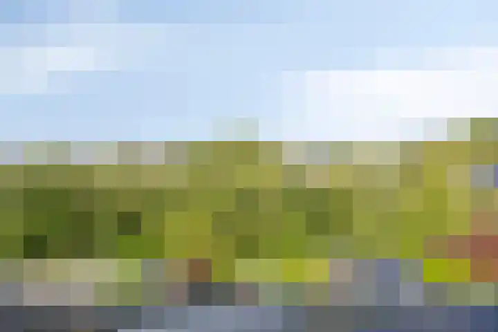 Jamboreelaan 32 Biddinghuizen thumbnail 54