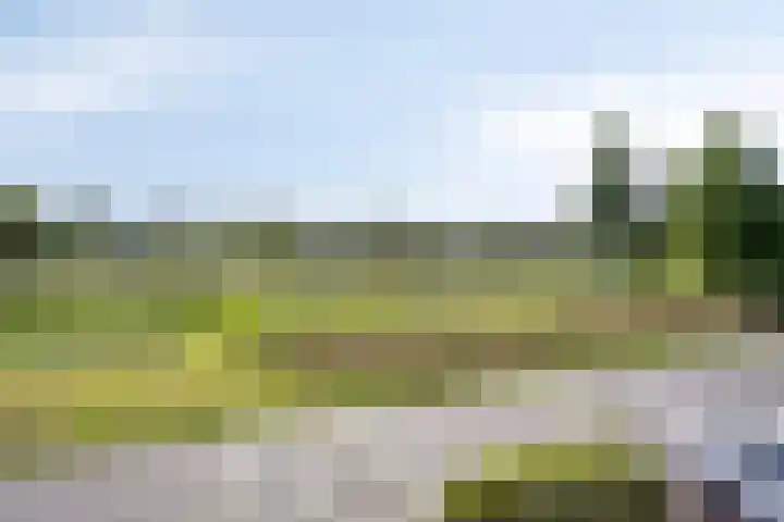 Jamboreelaan 32 Biddinghuizen thumbnail 55
