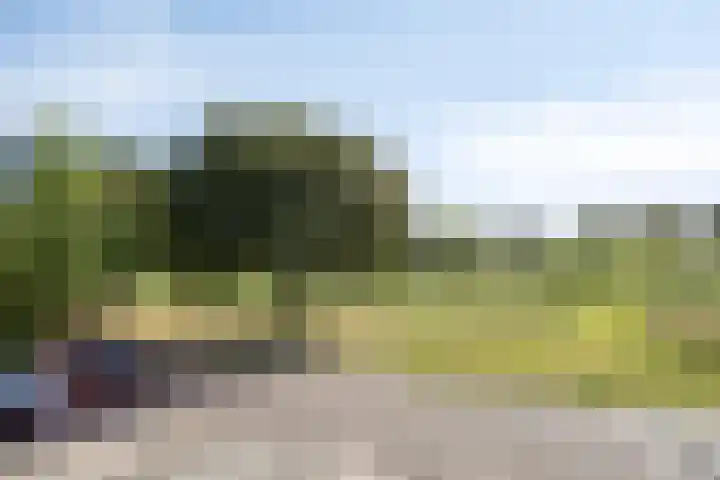Jamboreelaan 32 Biddinghuizen thumbnail 56