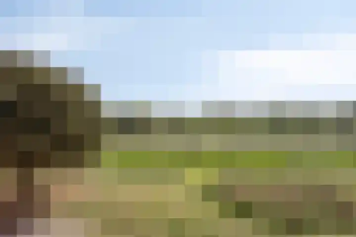 Jamboreelaan 32 Biddinghuizen thumbnail 57
