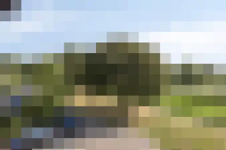 Jamboreelaan 32 Biddinghuizen thumbnail 58