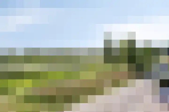 Jamboreelaan 32 Biddinghuizen thumbnail 59