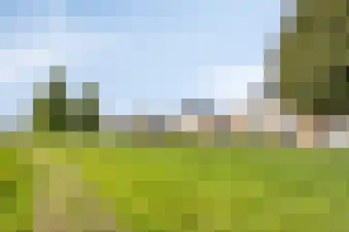 Jamboreelaan 32 Biddinghuizen thumbnail 62
