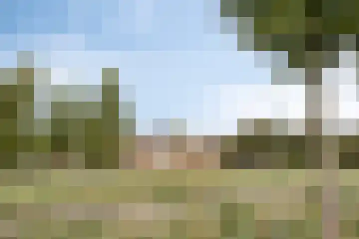 Jamboreelaan 32 Biddinghuizen thumbnail 63