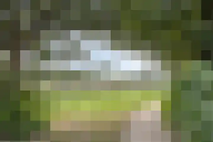 Jamboreelaan 32 Biddinghuizen thumbnail 64