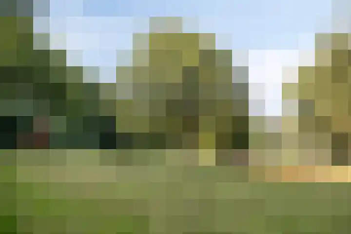 Jamboreelaan 32 Biddinghuizen thumbnail 65