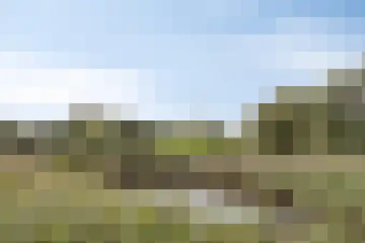 Jamboreelaan 32 Biddinghuizen thumbnail 67