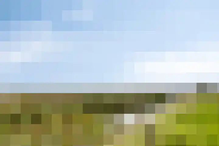 Jamboreelaan 32 Biddinghuizen thumbnail 68