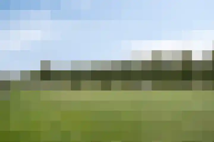 Jamboreelaan 32 Biddinghuizen thumbnail 69