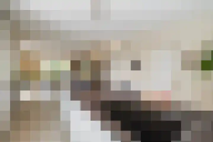 Jamboreelaan 5 Biddinghuizen thumbnail 10