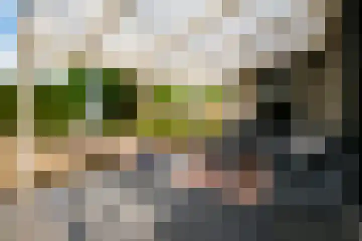 Jamboreelaan 5 Biddinghuizen thumbnail 31