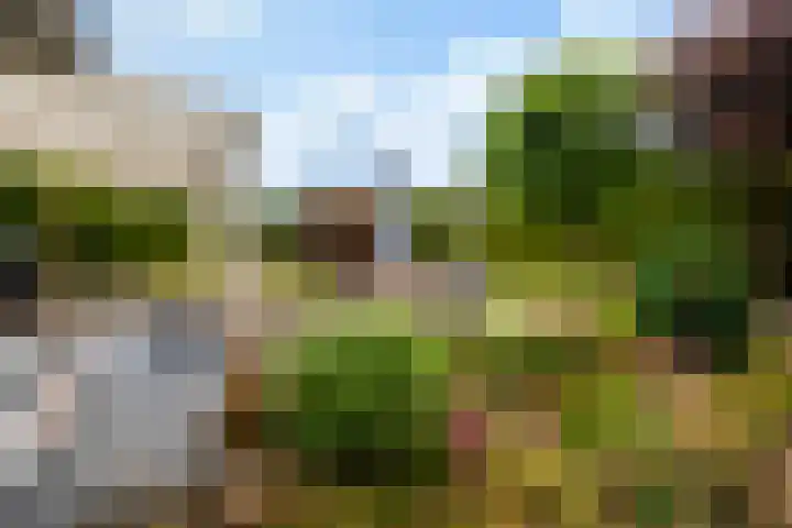 Jamboreelaan 5 Biddinghuizen thumbnail 32