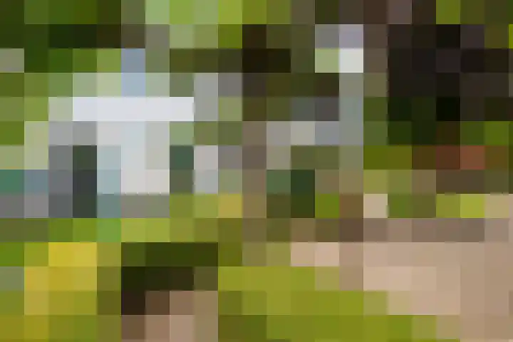 Jamboreelaan 5 Biddinghuizen thumbnail 34