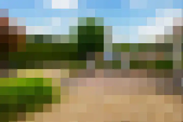 Jamboreelaan 5 Biddinghuizen thumbnail 35