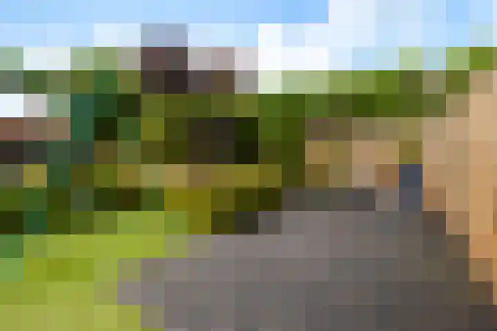 Jamboreelaan 5 Biddinghuizen thumbnail 36