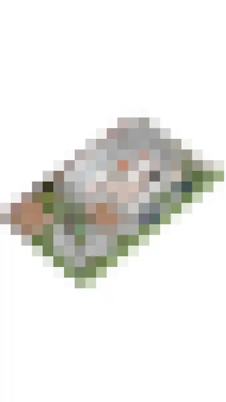 Jamboreelaan 5 Biddinghuizen thumbnail 42