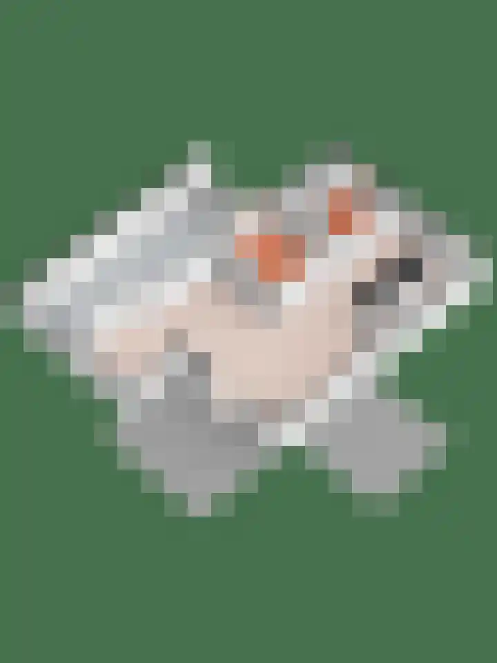 Jamboreelaan 5 Biddinghuizen thumbnail 43