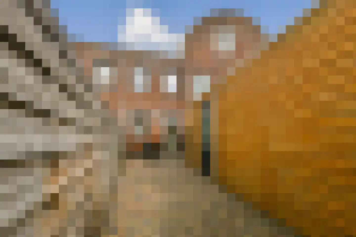 James Cookroute 153 Almere thumbnail 12