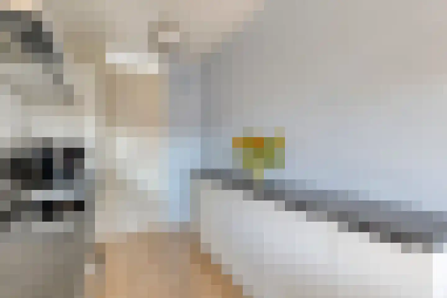 James Cookroute 77 Almere thumbnail 10