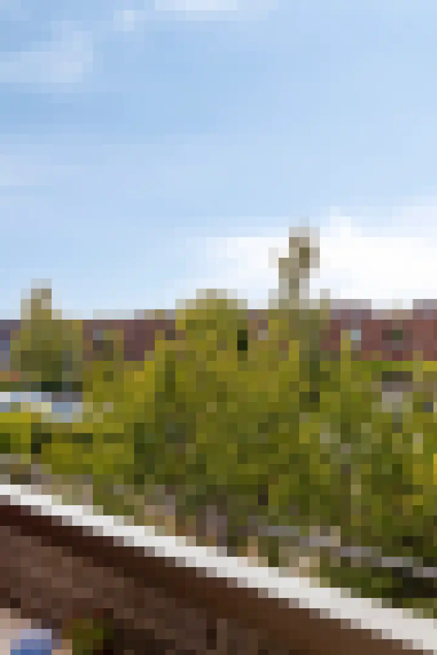 James Cookroute 77 Almere thumbnail 17