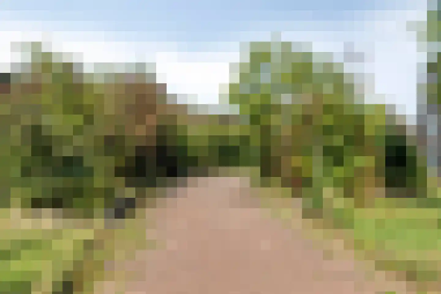James Cookroute 77 Almere thumbnail 19