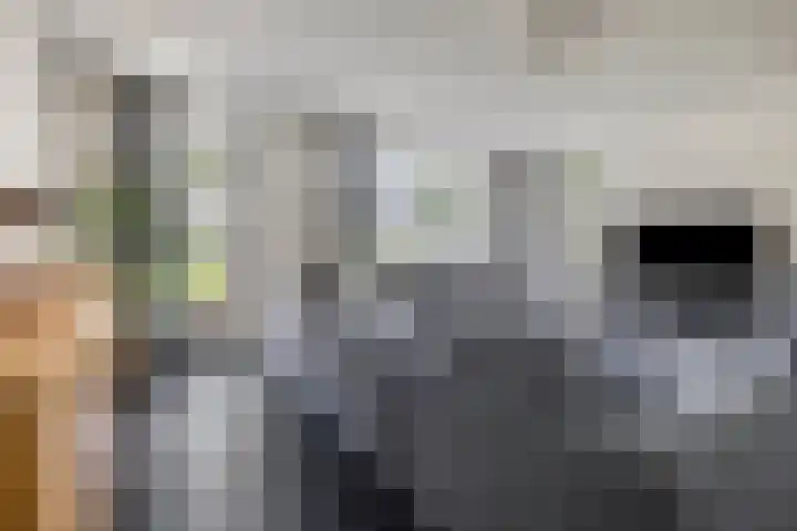 James Cooksingel 6 Emmeloord thumbnail 12