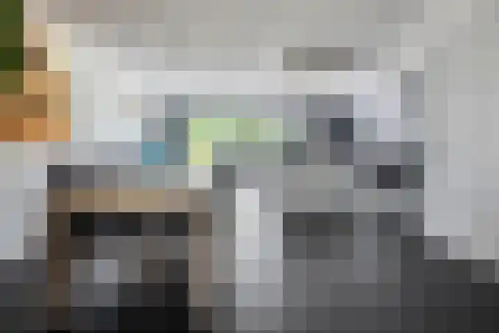 James Cooksingel 6 Emmeloord thumbnail 16