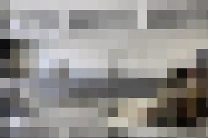 James Cooksingel 6 Emmeloord thumbnail 23