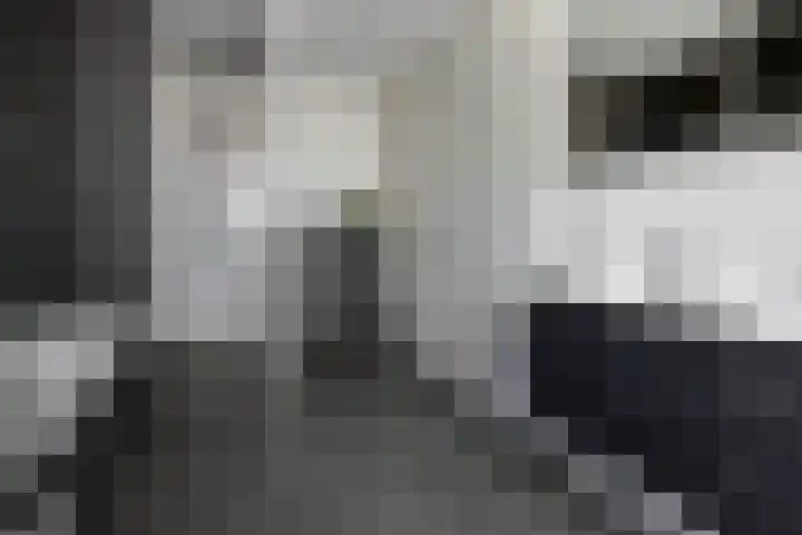 James Cooksingel 6 Emmeloord thumbnail 33