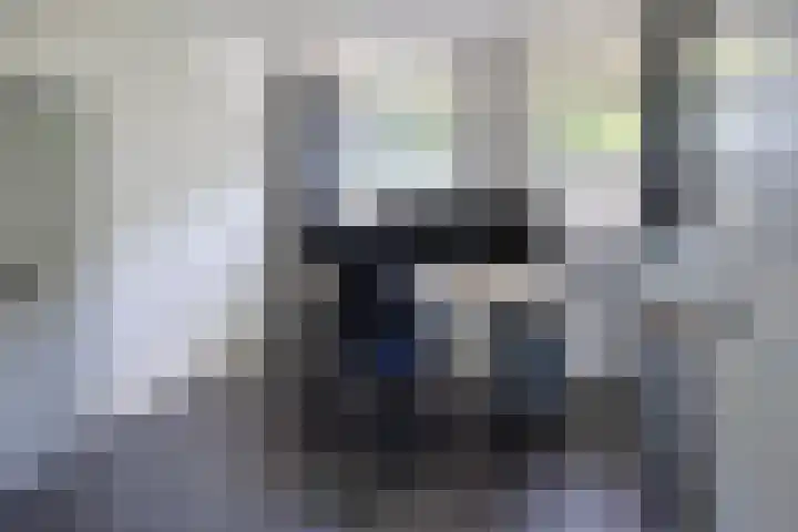 James Cooksingel 6 Emmeloord thumbnail 36