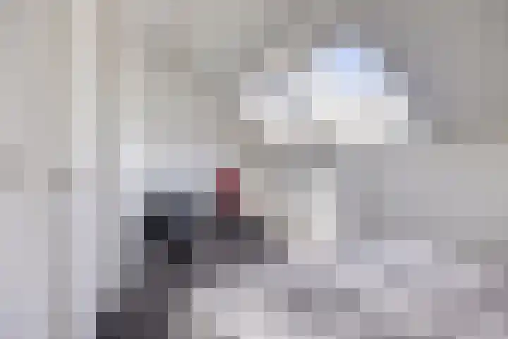 James Cooksingel 6 Emmeloord thumbnail 45