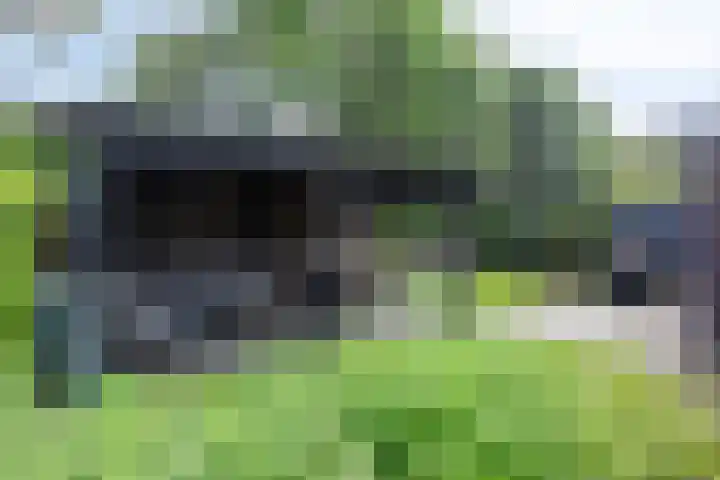 James Cooksingel 6 Emmeloord thumbnail 47