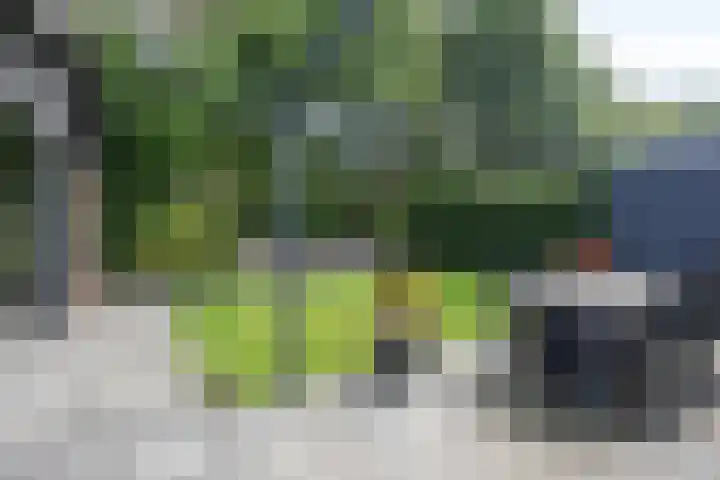 James Cooksingel 6 Emmeloord thumbnail 49