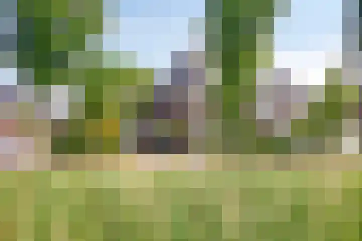 James Cooksingel 6 Emmeloord thumbnail 5