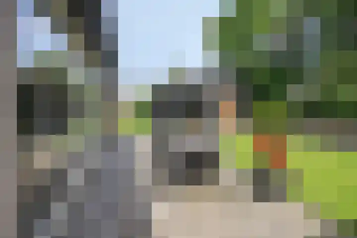 James Cooksingel 6 Emmeloord thumbnail 50