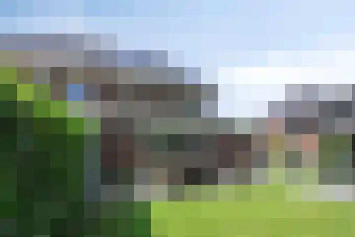 James Cooksingel 6 Emmeloord thumbnail 51