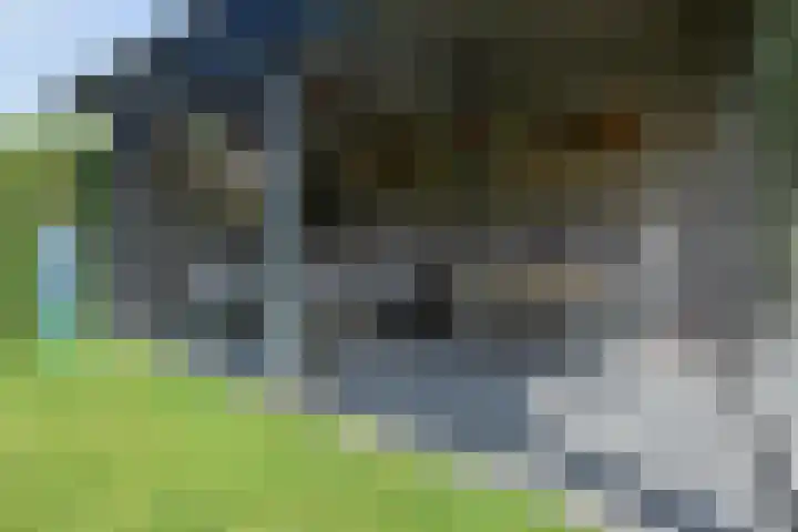 James Cooksingel 6 Emmeloord thumbnail 53