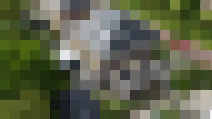 James Cooksingel 6 Emmeloord thumbnail 55