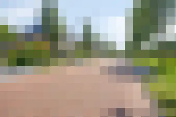 James Cooksingel 6 Emmeloord thumbnail 56