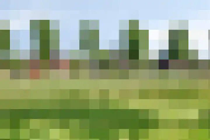 James Cooksingel 6 Emmeloord thumbnail 57