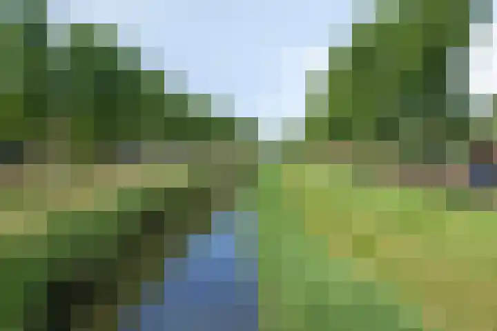 James Cooksingel 6 Emmeloord thumbnail 58