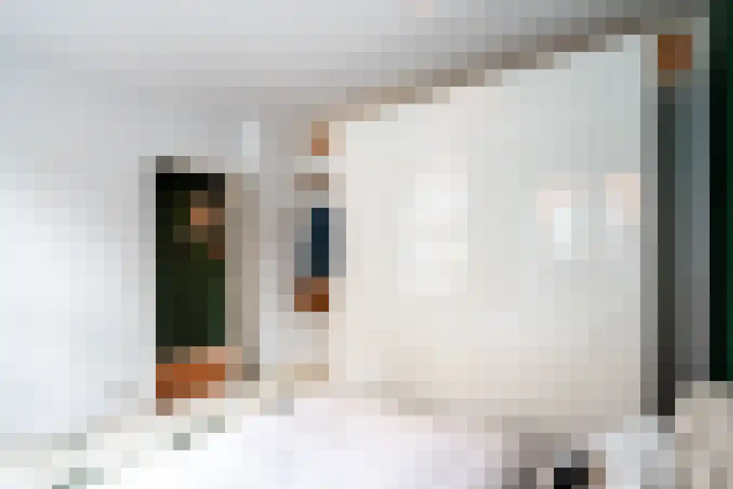 James Cookstraat 16 1 Amsterdam thumbnail 20