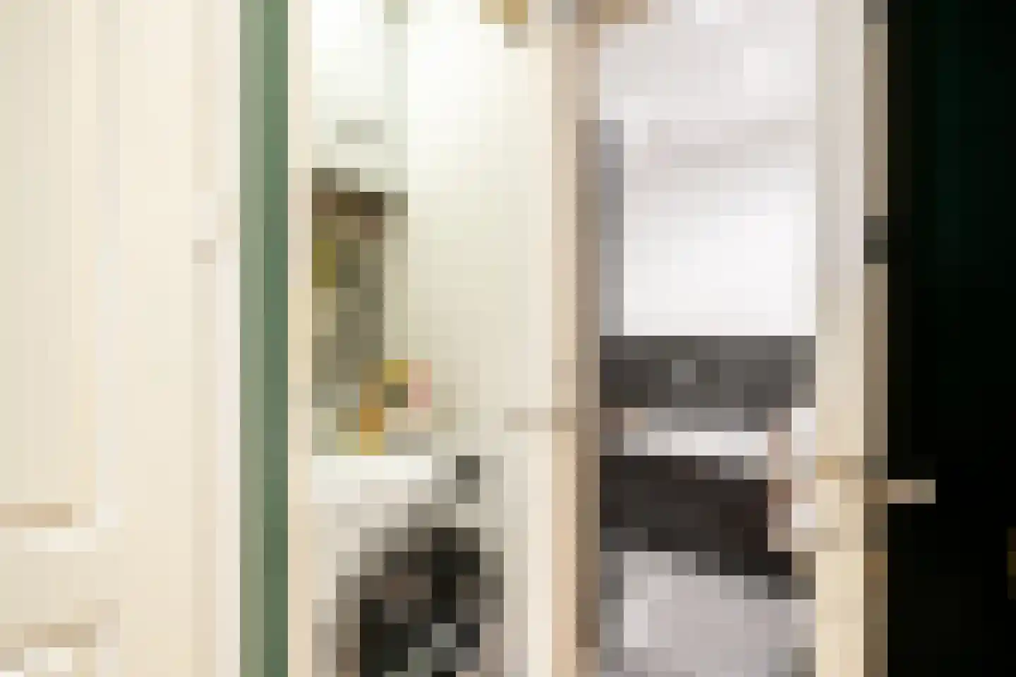 James Cookstraat 16 1 Amsterdam thumbnail 24