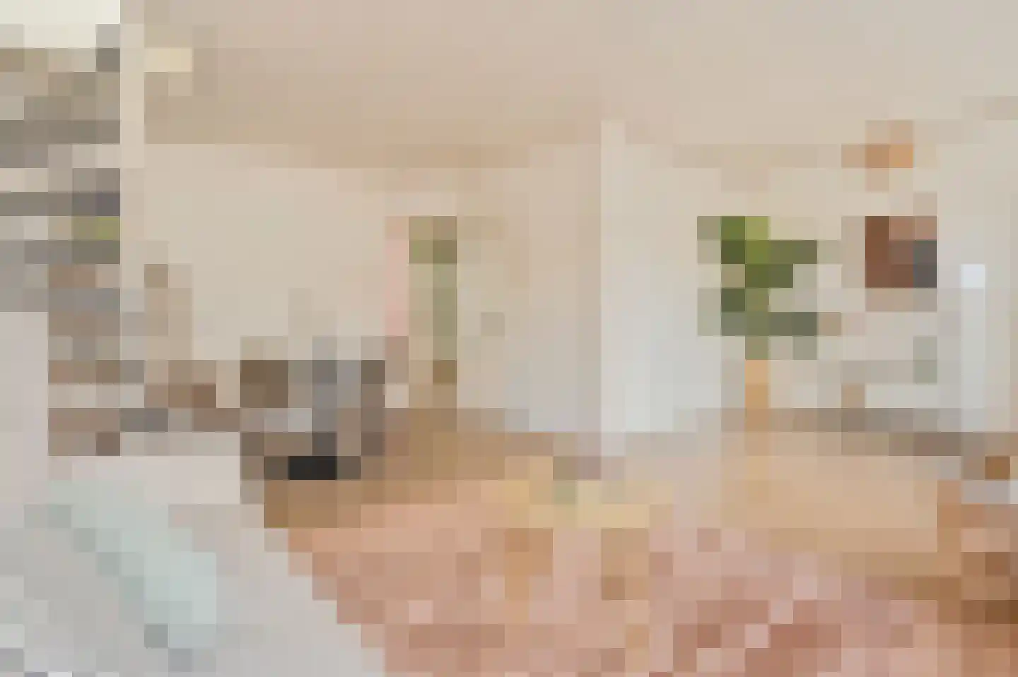 James Cookstraat 50 3 Amsterdam thumbnail 8