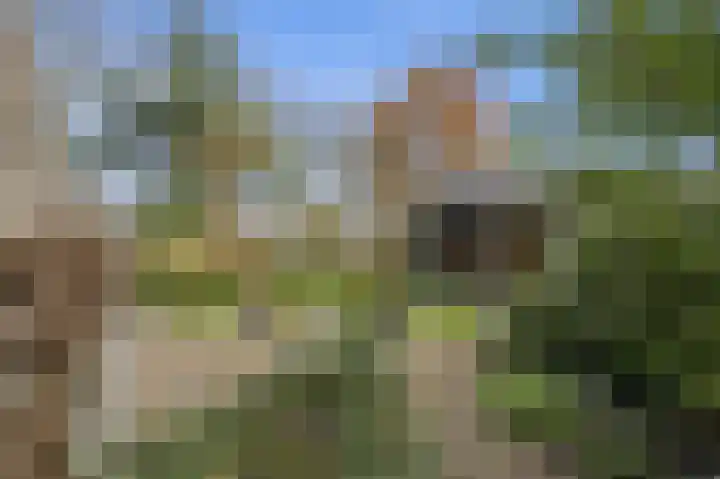James Cookstraat 7 Alkmaar thumbnail 37