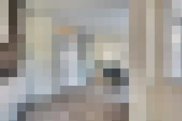 James Ensorlaan 1 Helmond thumbnail 11
