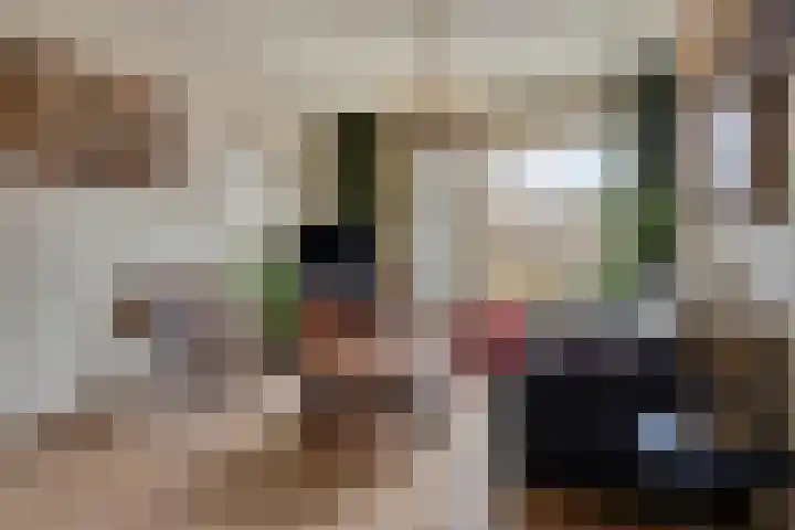 James Ensorlaan 1 Helmond thumbnail 11